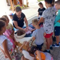 Élménybeszámoló – Mi leszek, ha nagy leszek táborunkról -01