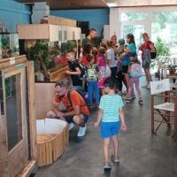 Élménybeszámoló – Mi leszek, ha nagy leszek táborunkról -05