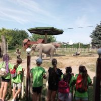 Öt nap alatt a Világ körül napközis tábor-12